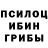 Галлюциногенные грибы Psilocybine cubensis Alex Ostup