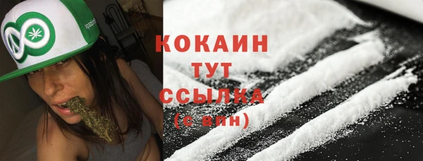 ECSTASY Богородск
