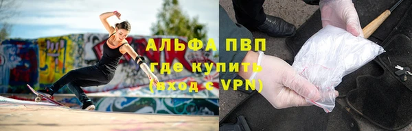 ECSTASY Богородск