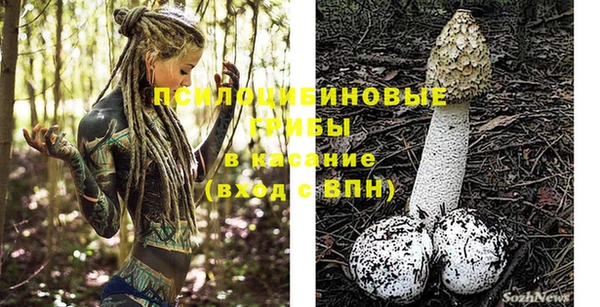 гашиш Богданович