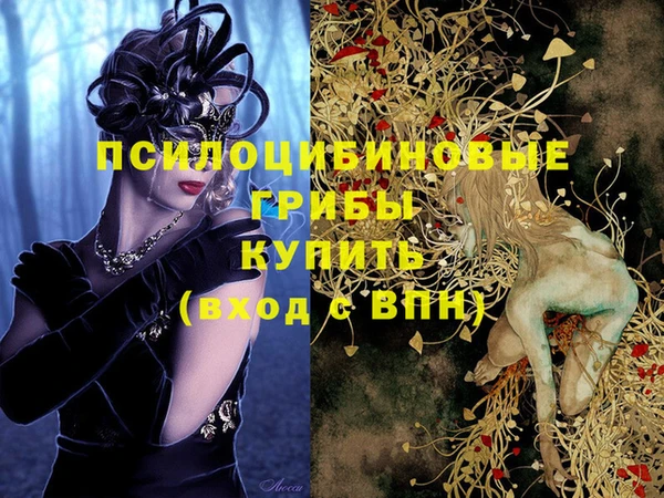 не бодяженный Богородицк