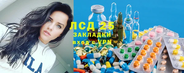гашиш Богданович