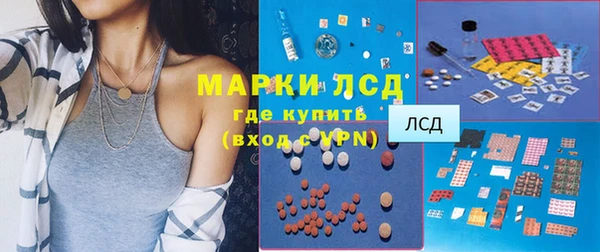 гашиш Богданович