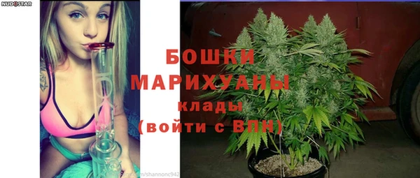 гашиш Богданович